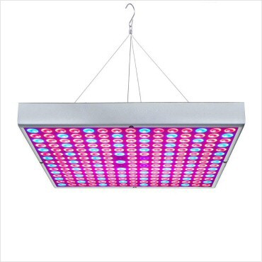 portfolio-item-image