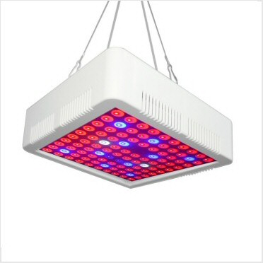 portfolio-item-image