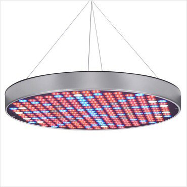 portfolio-item-image