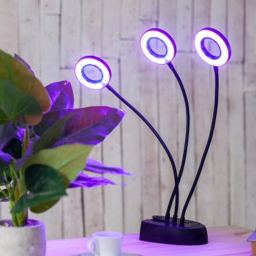 portfolio-item-image